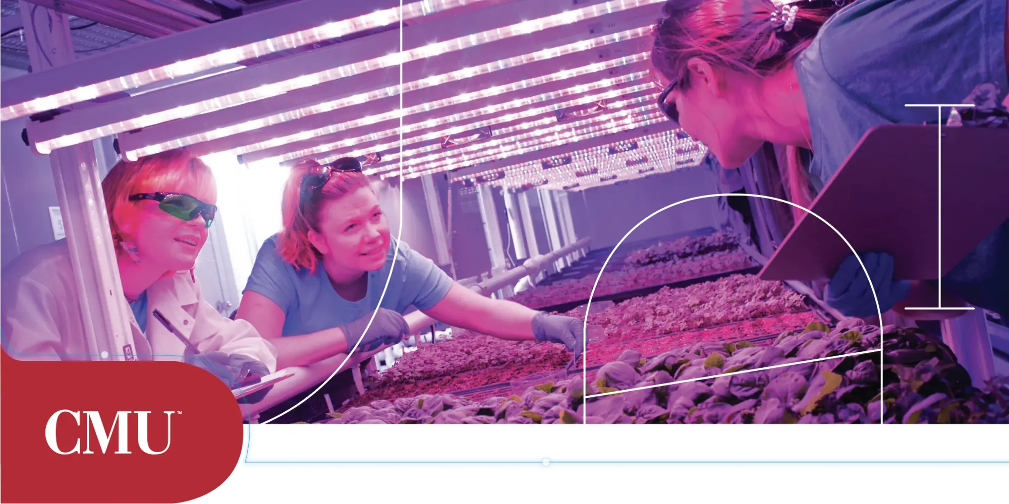 Leveraging AI to grow healthy and nutritious food.